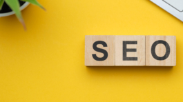 Soluciones-nur-insight-posicionamiento-seo